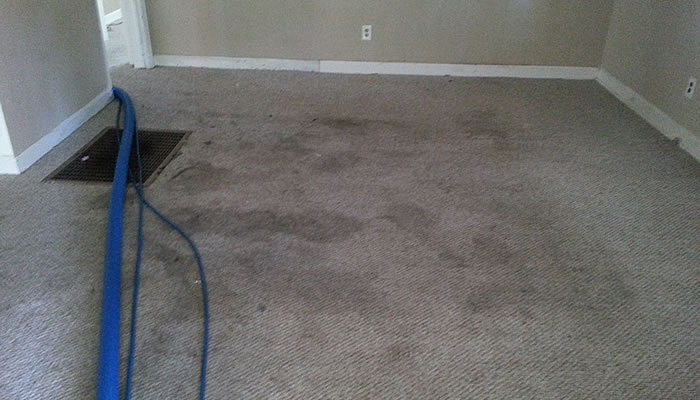 CARPET CLEANING