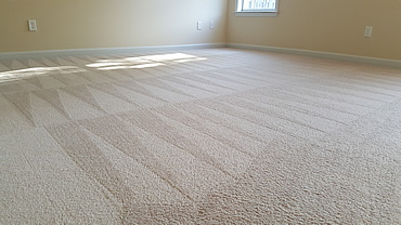 CARPET CLEANING